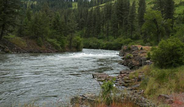 The Wallowa River running fast between forested slopes in the Wallowa country