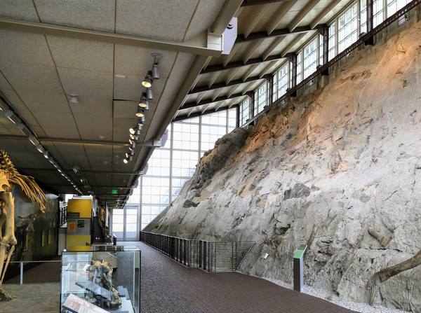 The tilted Carnegie Quarry wall of bones at Dinosaur National Monument, Utah — roughly 1,500 Jurassic dinosaur bones still embedded in the sandstone face beneath the Quarry Exhibit Hall.