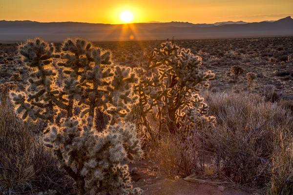 A sweeping Basin and Range landscape in Nevada — a wide sagebrush valley floor with a long mountain range rising beyond, under an open sky.