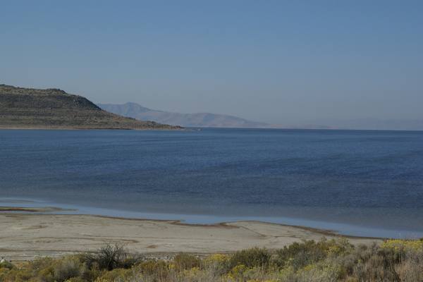 The shallow, pale expanse of the Great Salt Lake meeting the dry grassland shore of Antelope Island, with hazy mountains beyond.