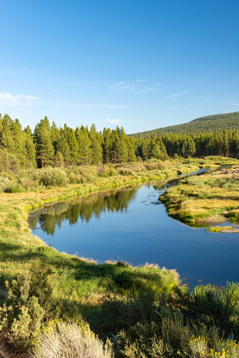 The Sprague River winding through meadow and pine forest in Klamath country