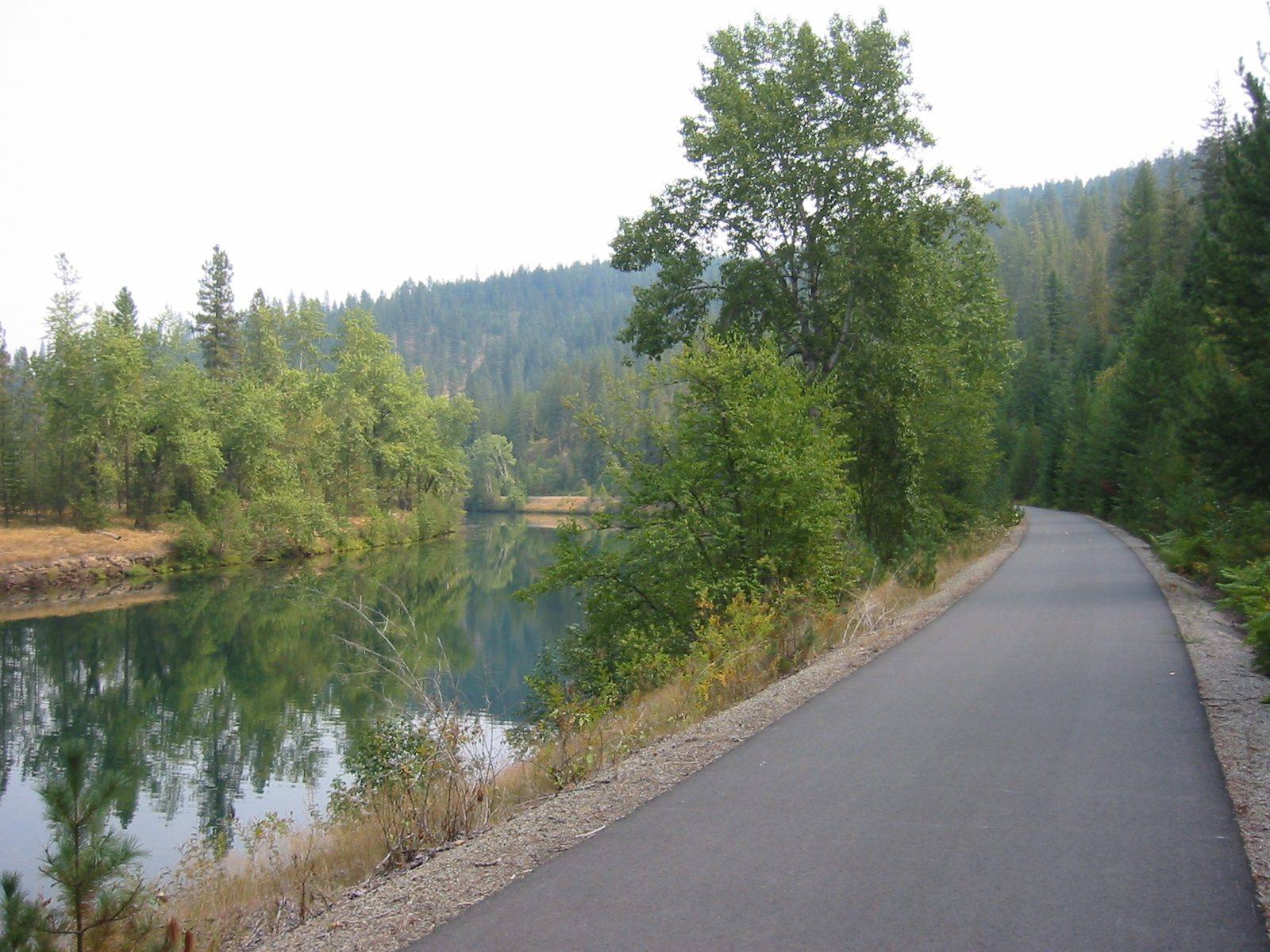 The paved Trail of the Coeur d'Alenes following the still Coeur d'Alene River through cottonwoods and forest