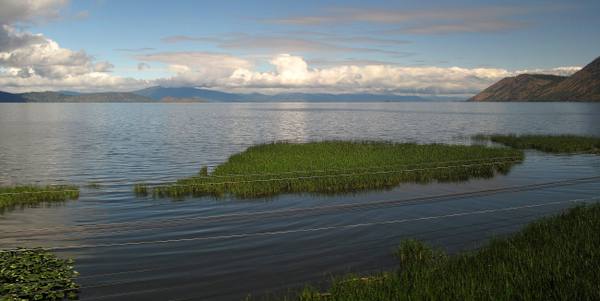 Upper Klamath Lake stretching to distant hills, beds of marsh grass at the near shore