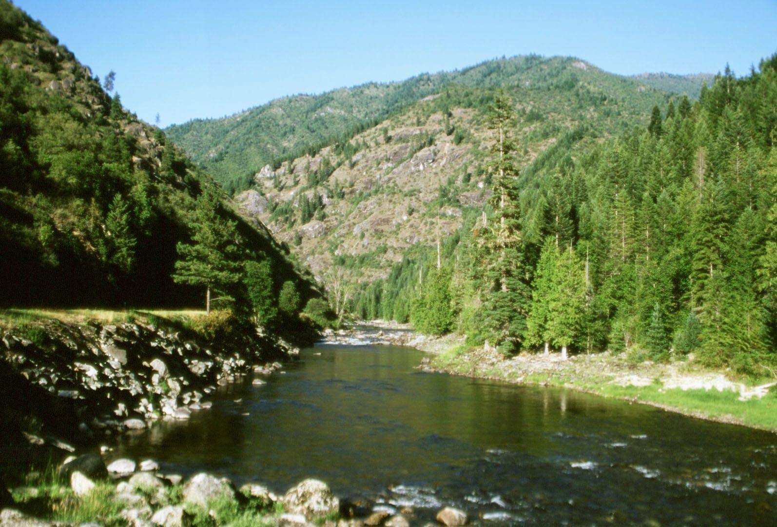 The Lochsa River running clear over cobbles between steep forested slopes