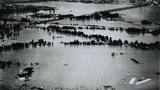 Vanport