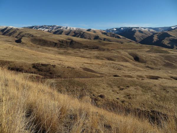 The grassy ridges and draws of White Bird Canyon under a clear sky