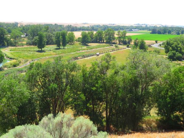 The grounds of Whitman Mission National Historic Site seen from the hill above, cottonwoods along a water channel and green farm fields beyond