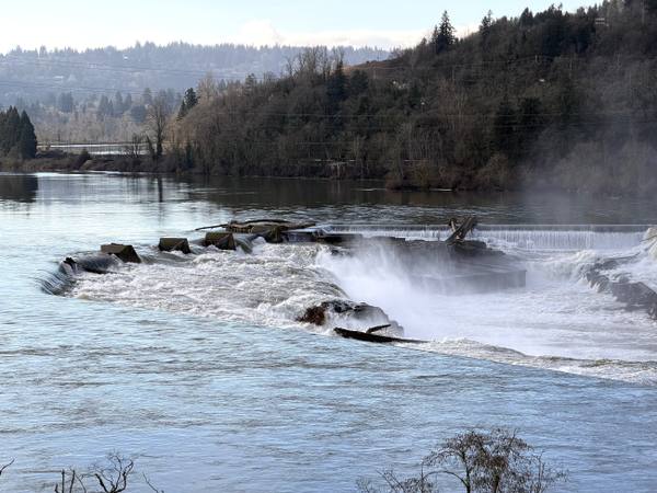 The Willamette River pouring over the horseshoe basalt ledge of Willamette Falls in high winter flow