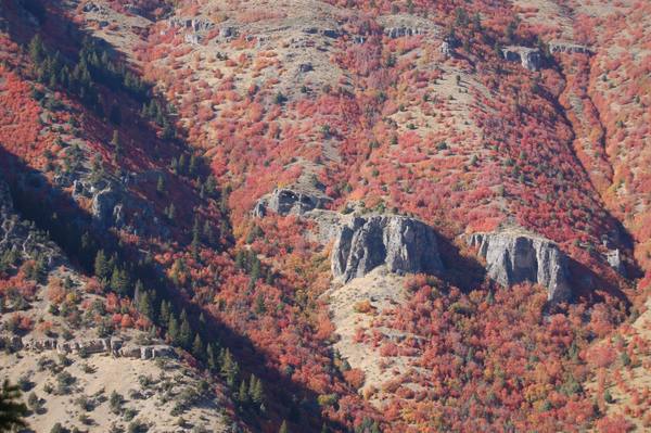 Wind Cave Trail